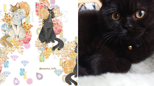 モデル猫のブリトーとそのイラスト